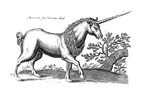 ColorOurCollections: licorne